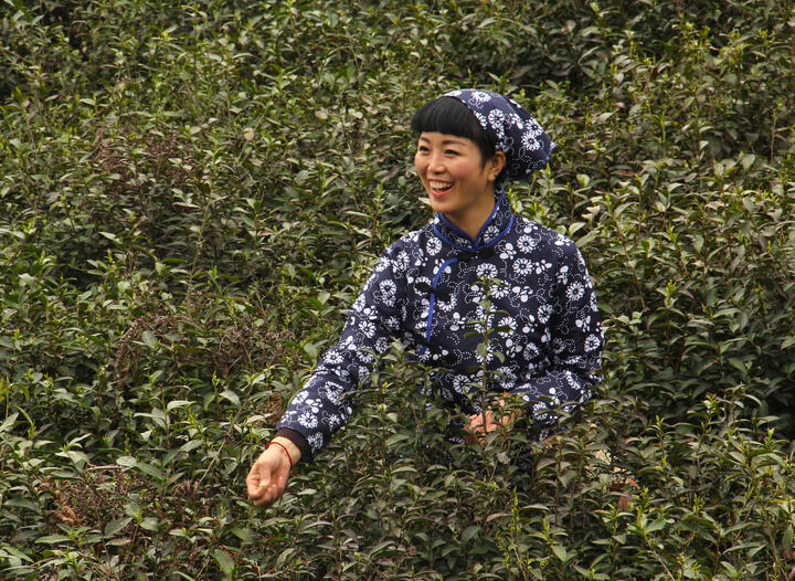 热门10